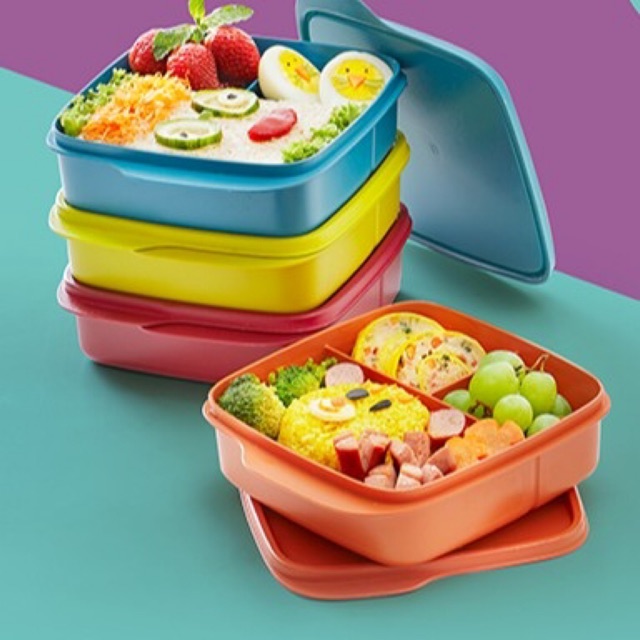 tupperware lunch box for kid with bag