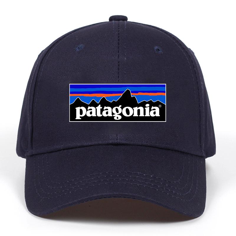 patagonia dad cap