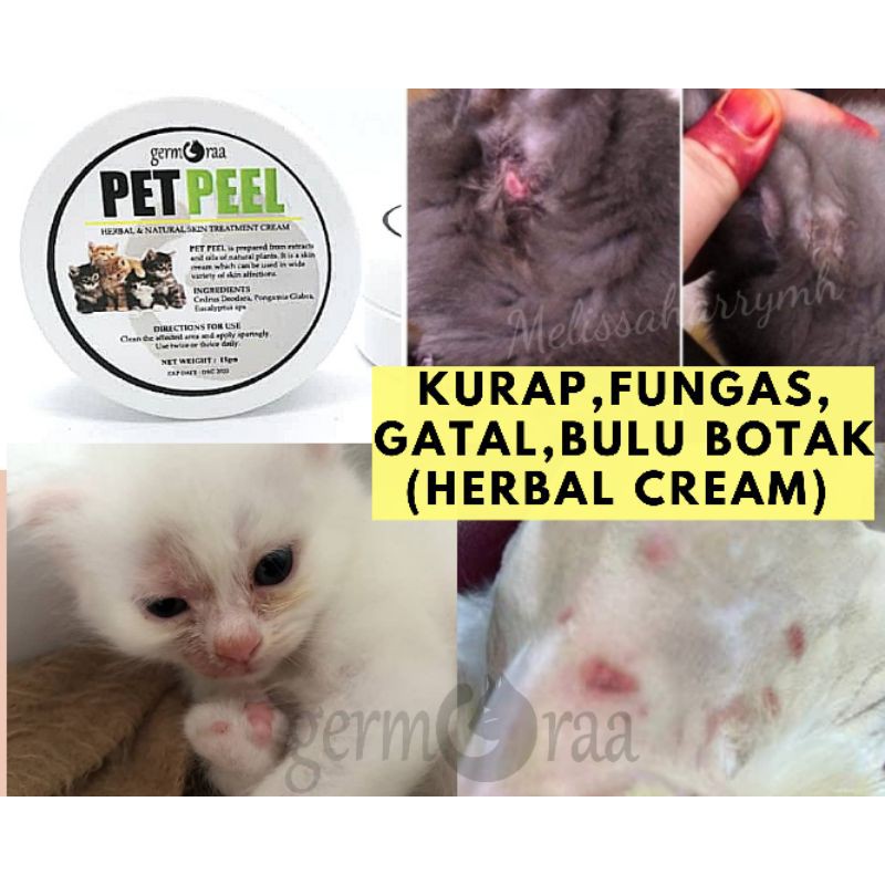 Ubat Kurap Kucing dan Anjing Berkesan Merawat Ringworm Luka Kurap 