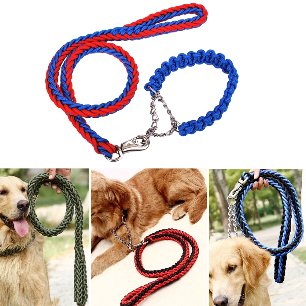 big dog collars and leashes