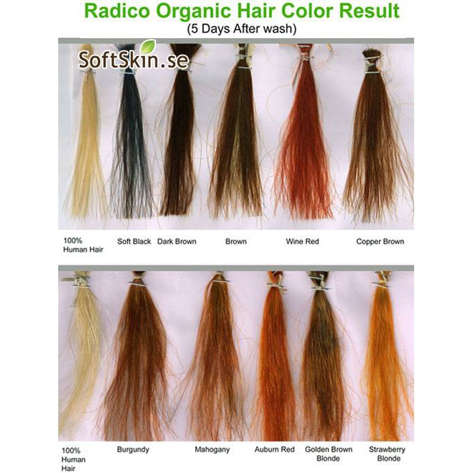 Radico Organic Hair Colour | Shopee Malaysia