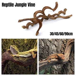 3 pcs. BR1 6' Artificial Flexible Reptile Chameleon Jungle Vines M 