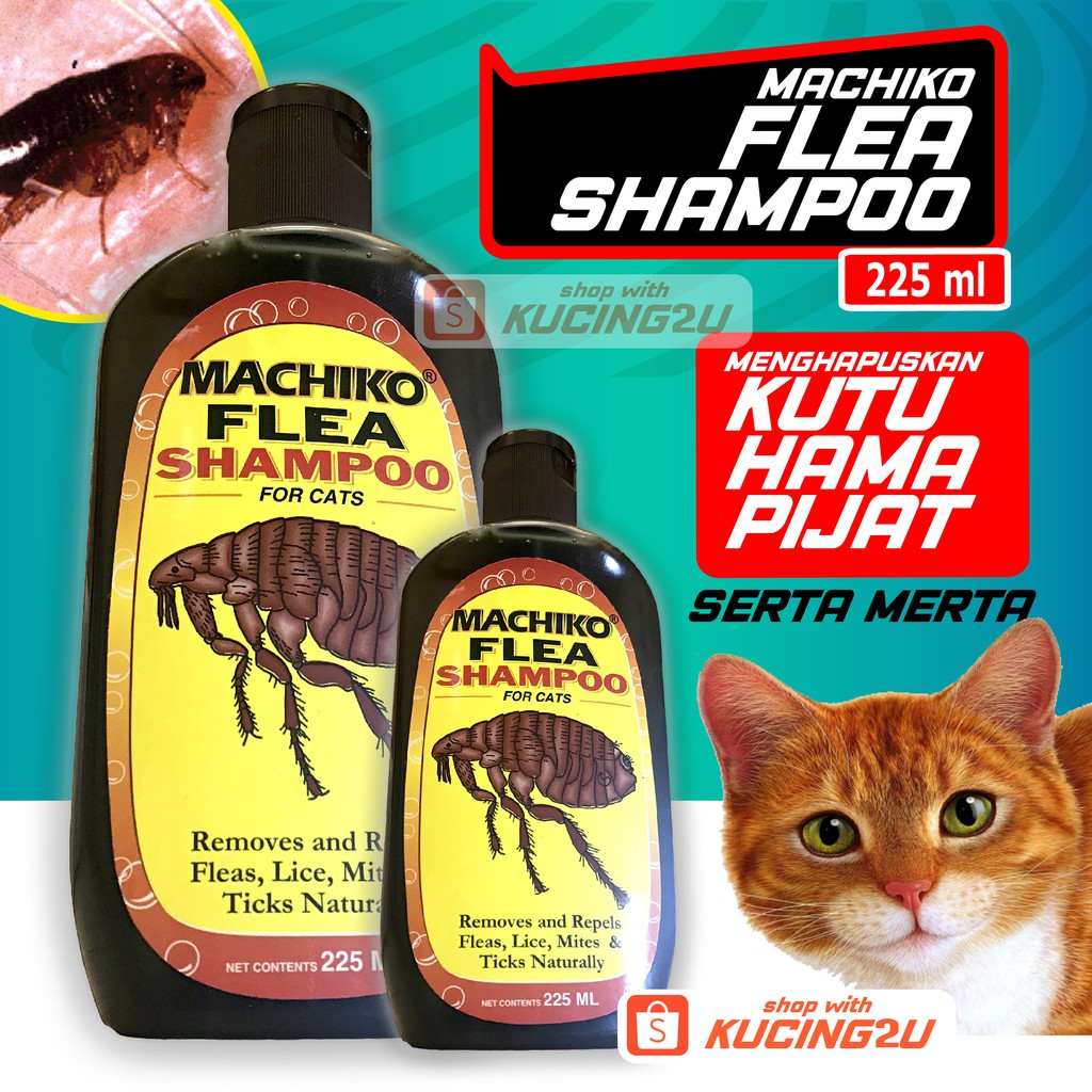 SHAMPOO KUTU KUCING - MACHIKO (225ML) BERKESAN SERTA MERTA