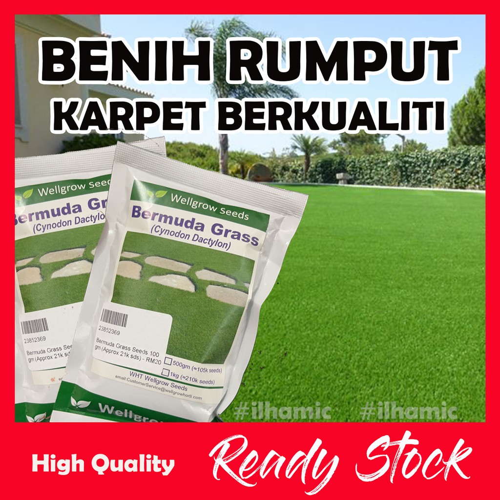 benih-rumput-karpet-jenama-popular-digemari-ramai-peminat-carpet-grass