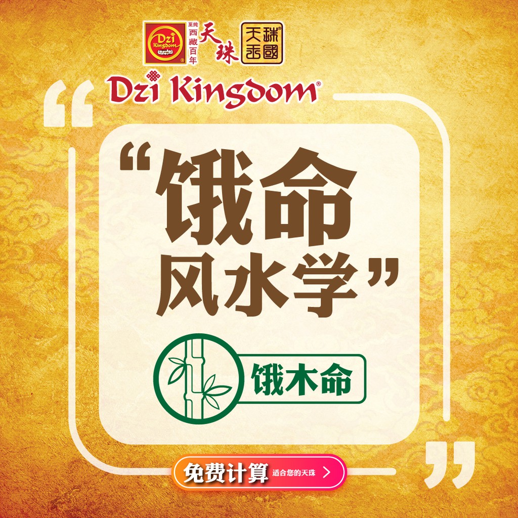Dzi Kingdom Free Calculation 8 Dzi 5 Elements Dzi Combo Luck Improvement 天珠 王国免费计算八字五行天珠组合改善提升自身运气 Shopee Malaysia