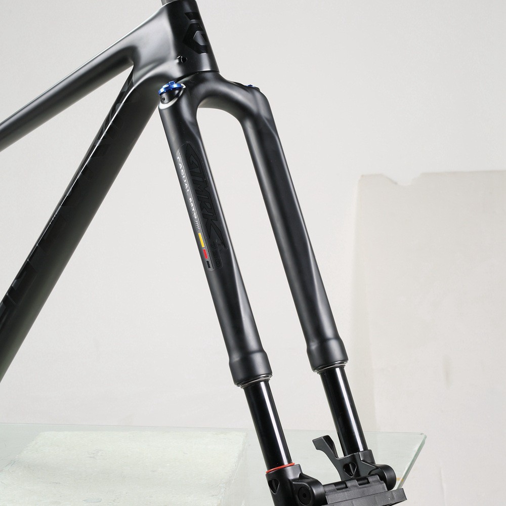 suspension fork sale