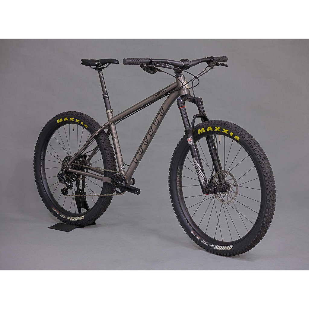 titanium mtb bike