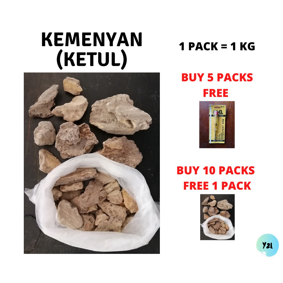 Kemenyan in english