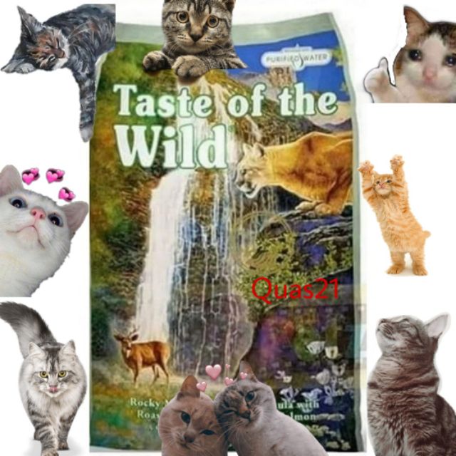 TOTW Taste of The Wild- Rocky Mountain Feline