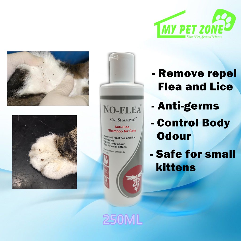 Anti Tic Flea Cat Lice Shampoo Shopee Philippines atelieryuwa.ciao.jp