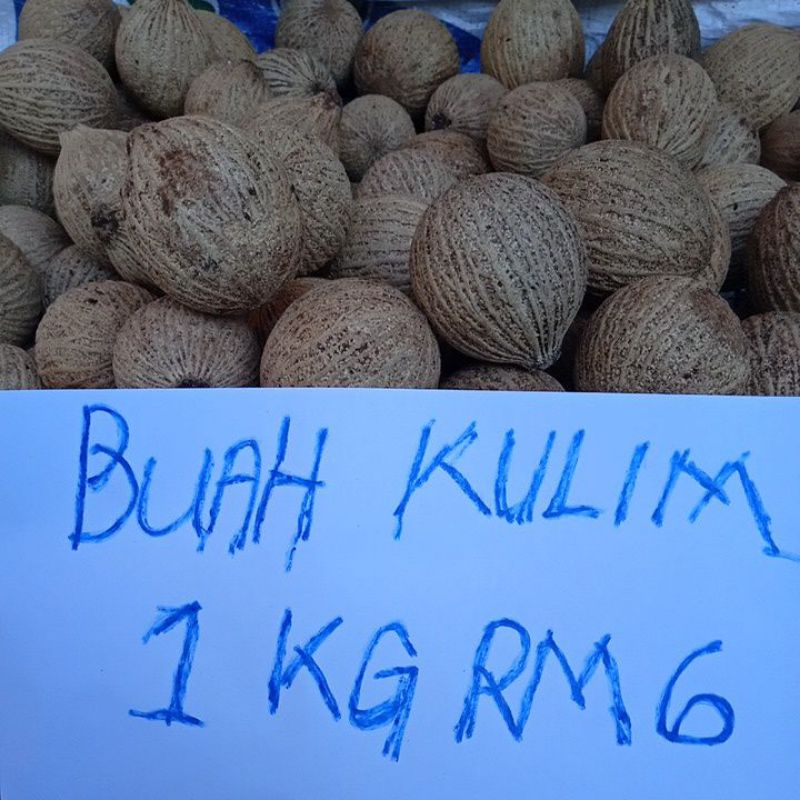 Buah Kulim Murah 1kg Rm6 10 25 Biji Ikut Size Buah