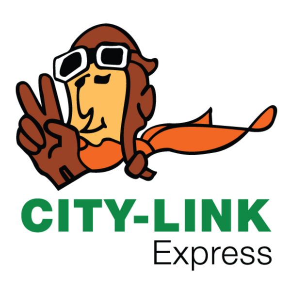 City Link Express Carton Paper Box Shipping Postage Packaging Materials Tube 35 Cm Shopee Malaysia