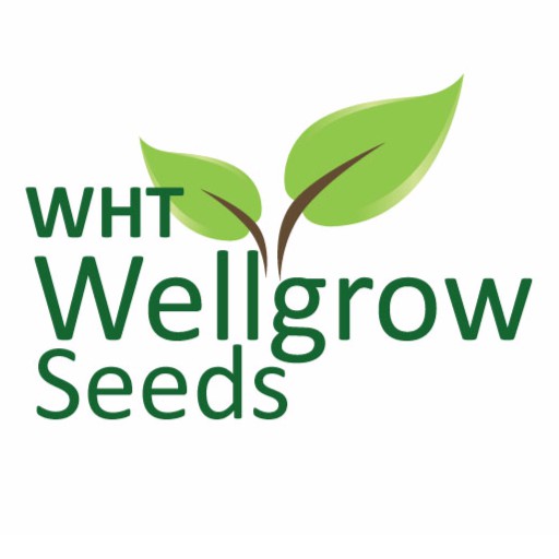 Wellgrow Seeds Official Store, Online Shop | Shopee Malaysia