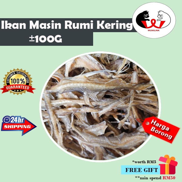 Ikan Masin Rumi Kering 西丁咸鱼 Dried Sardine and salted fish [± 100G]