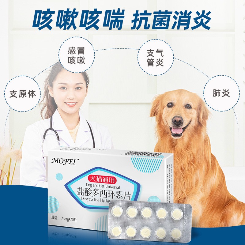 How Do Dogs Get Bronchial Pneumonia