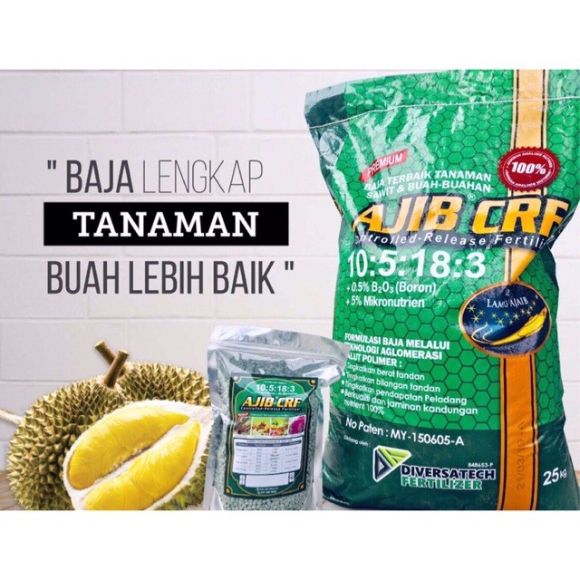 Baja Untuk Pokok Durian : Sop Pembajaan Pokok Durian Berusia 1 Tahun My