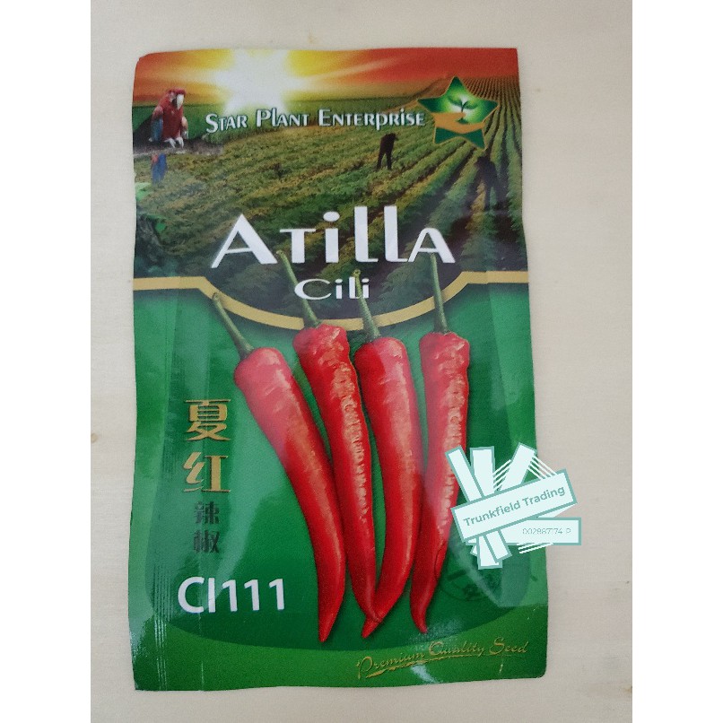 Buy 15/50/104 biji Benih Cili Kulai Atilla CL111 F1 (REPACK) Kulai 