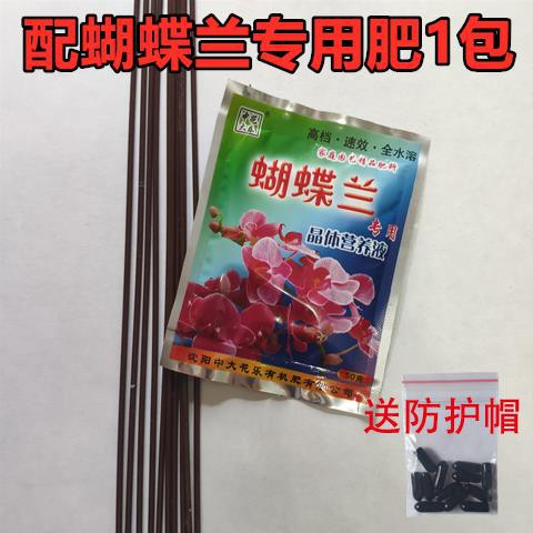 蝴蝶兰花夹花卉专用支柱藤蔓支撑杆架铁丝小夹子造型园艺固定植物 Shopee Malaysia
