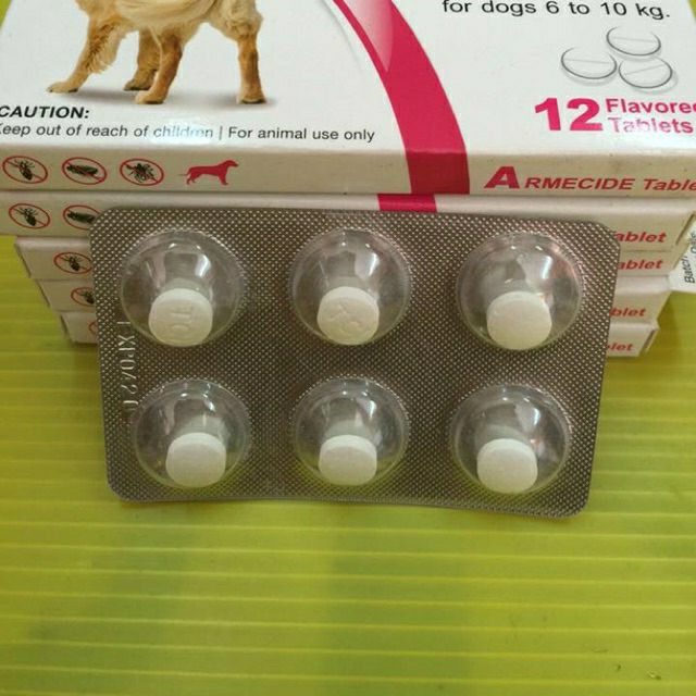 (1pcs) 4-in-1 Ubat Kutu kucing, Kurap, Cacing, Earmites 