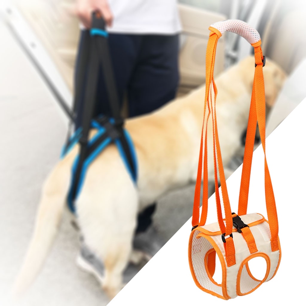 Toolroom Portable Dog Pet Lift Sling for Rear Legs, Hip Support Lifting ...