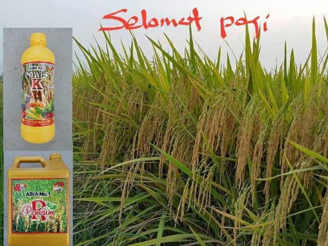 Baja Buah Padi Power K Shopee Malaysia