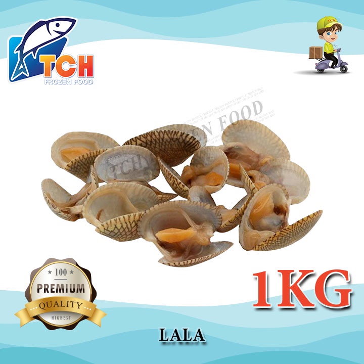 LALA BUNGA, CLAM , TCH FROZEN FOOD, FRESH FROZEN SEAFOOD, WHOLESALE