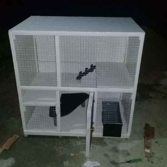 Rumah kucing sangkar kucing murah custom  Shopee Malaysia