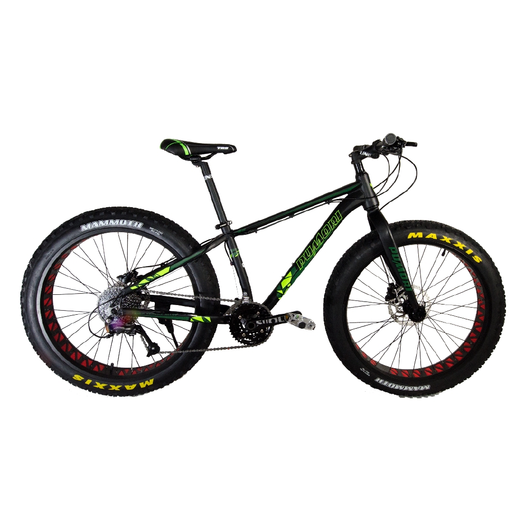 fat bike pumori