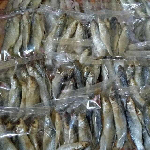 Ikan Belanak Kedera Masin Produk Muslim Shopee Malaysia