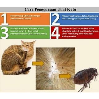 ( Ready Stock )😽 Ubat Kutu Kucing Kitten Cat Flea Pet Tick 