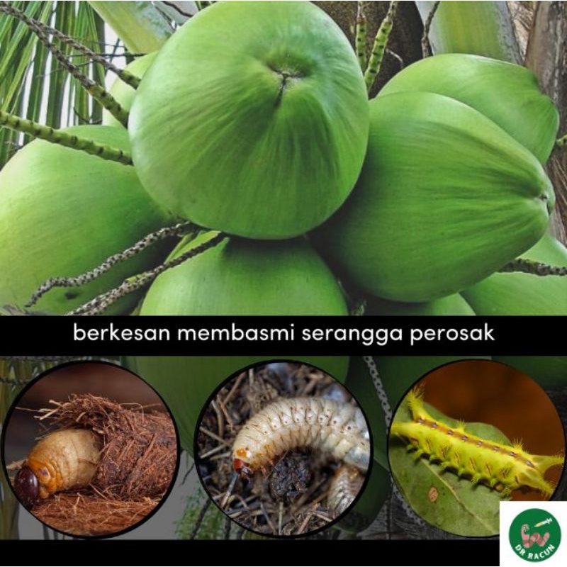 Racun Serangga Perosak untuk Pokok Kelapa. | Shopee Malaysia