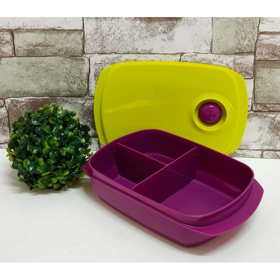 Tupperware Reheatable Divided Lunch Box Set (1L) | Shopee Malaysia