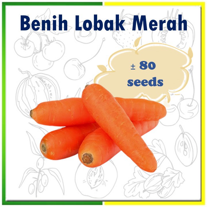 Biji Benih Sayur Buah Pek Kecil Sawi Betik Tembikai Petola Peria Ketumbar Daun Sup Bendi Kacang Panjang Jagung Labu Shopee Malaysia