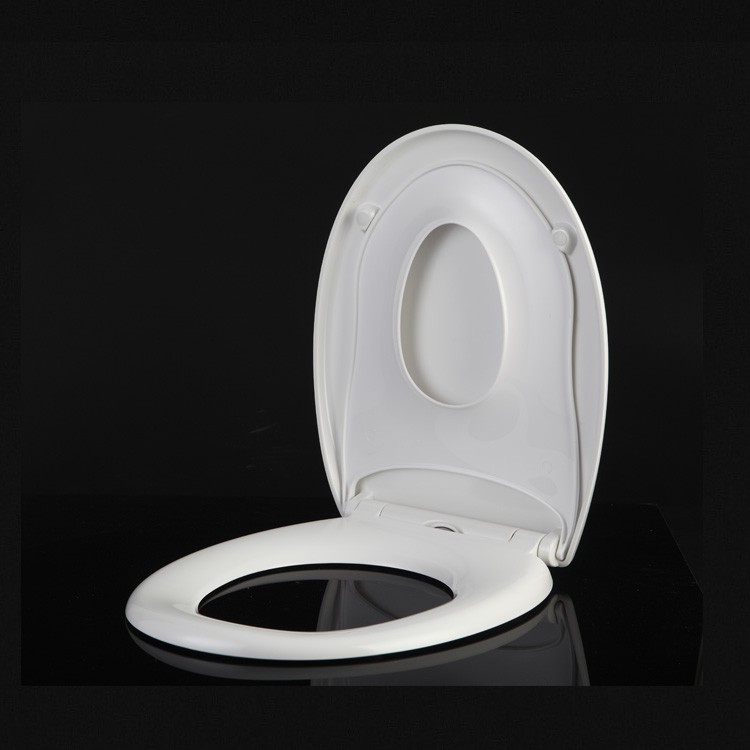 2 in 1 toilet seat