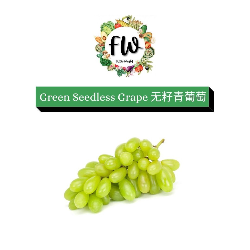 Green Seedless Grape 1PKT (500g)