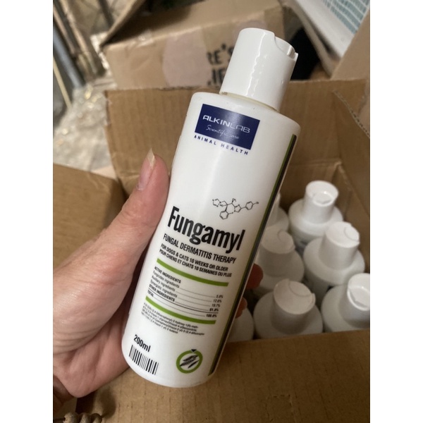 Fungal Shower Gel Fungal Fungal Flakes And Dandruff And Dermatitis