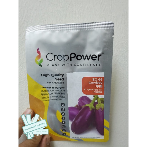 Benih Terung Mutiara Crop Power Cowboy EG66 F1 Hybrid (REPACK) 15 biji ...