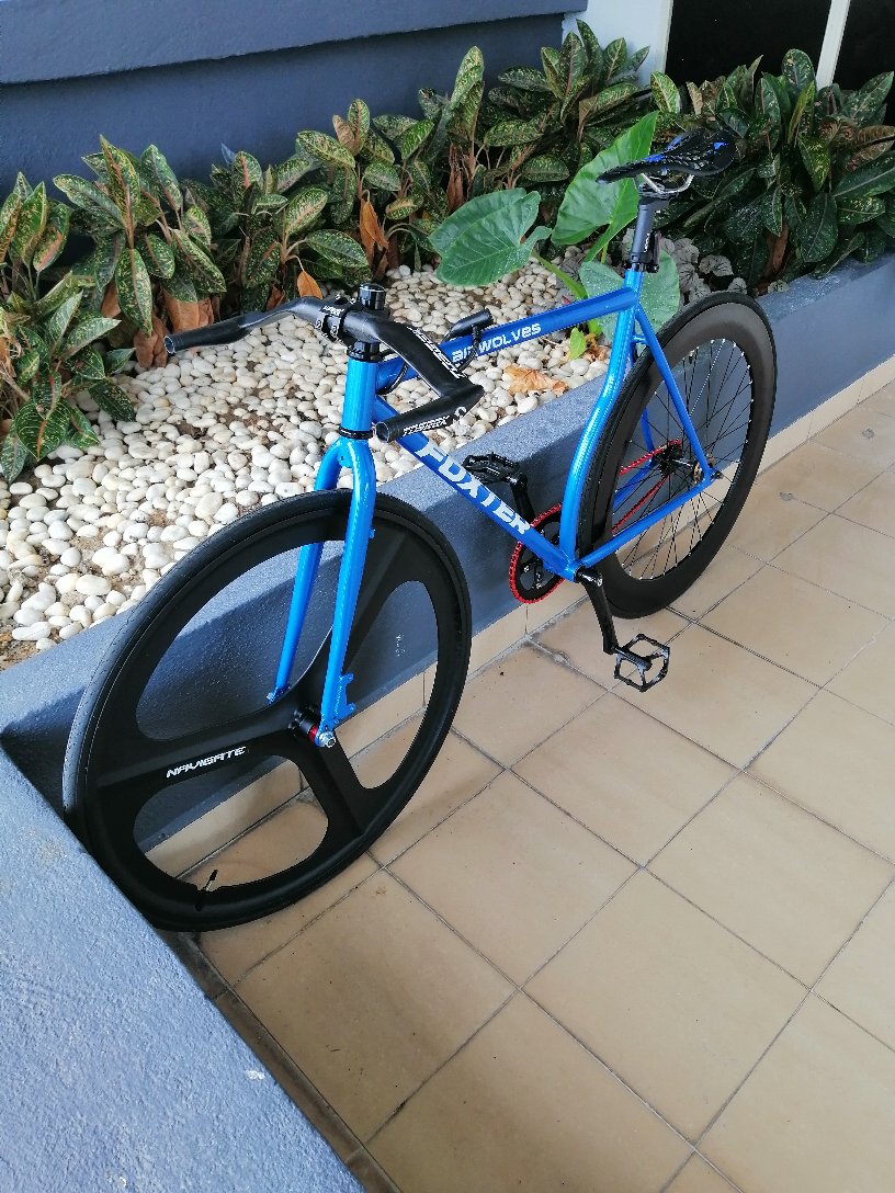 fixie sport rim