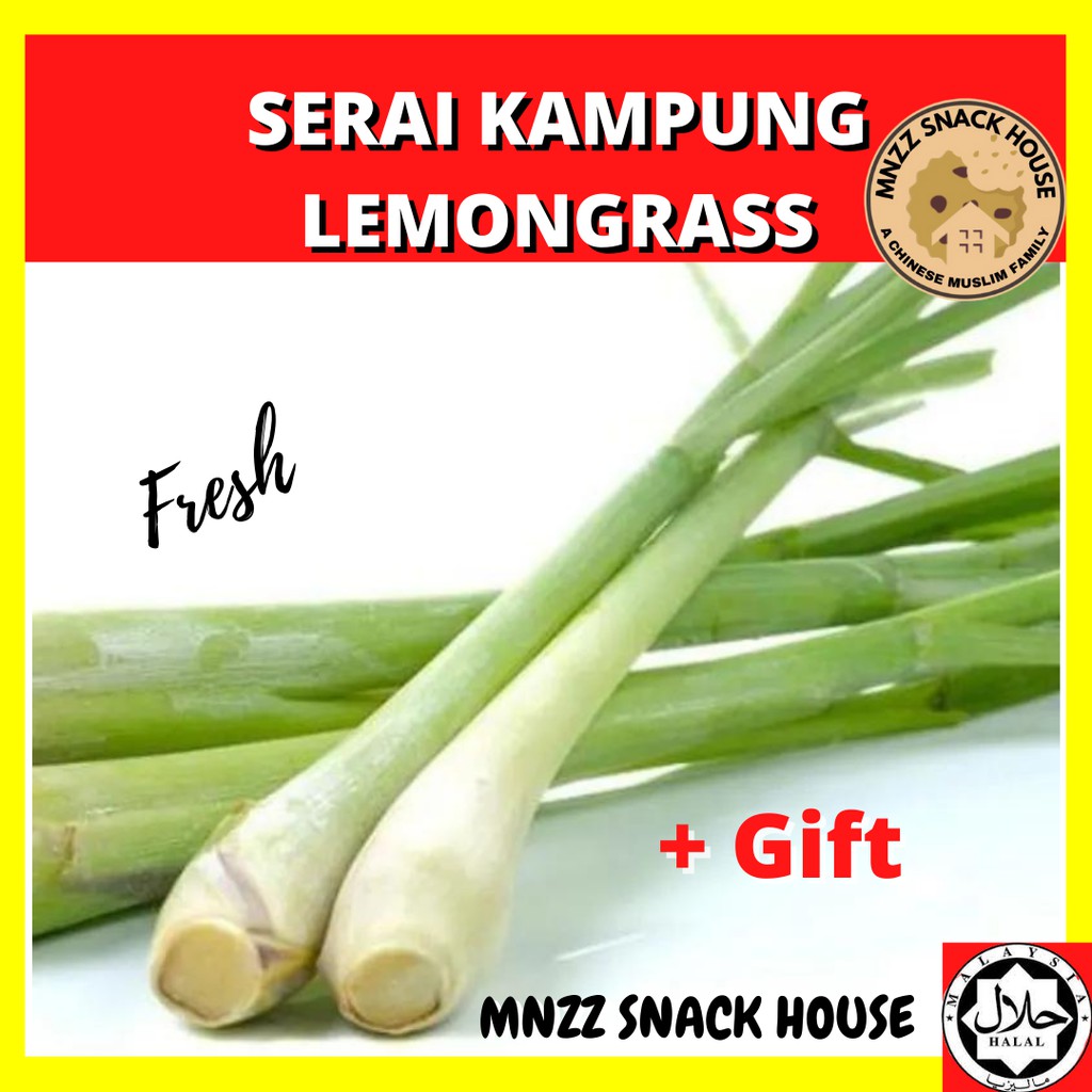 READY STOCK Serai Kampung Fresh Lemongrass groceries cooking essential masakan 香茅 vegetables - Mnzz