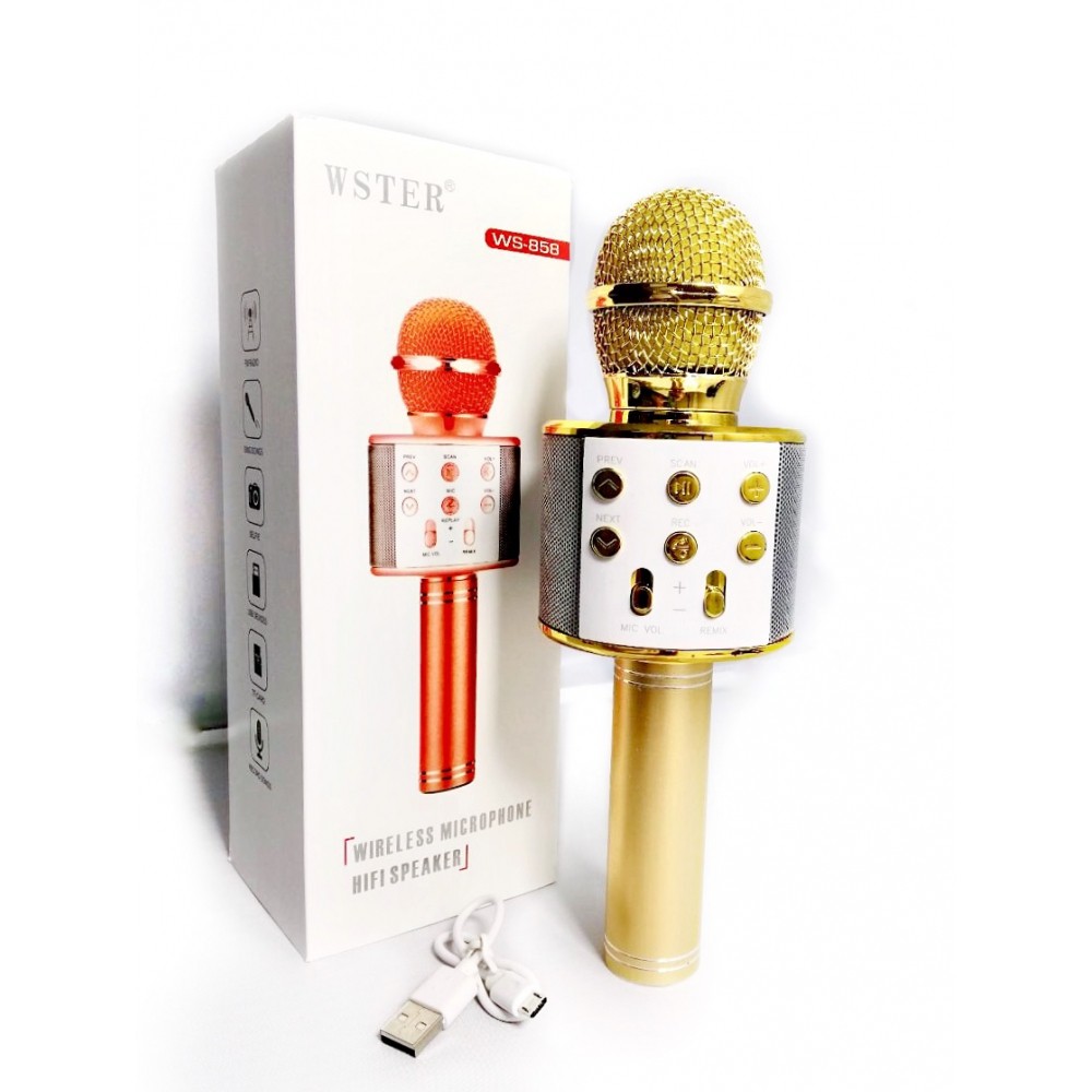 wireless microphone hifi speaker wster