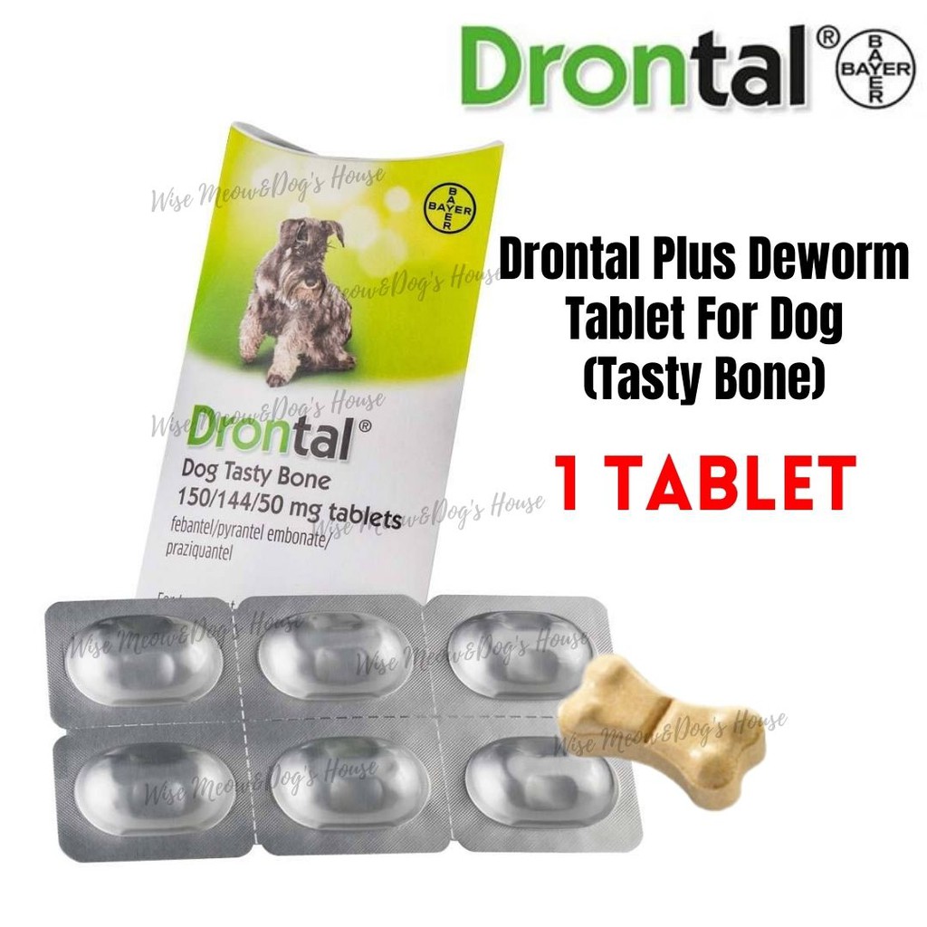 Bayer Drontal Dog Tasty Bone Tab Lazada