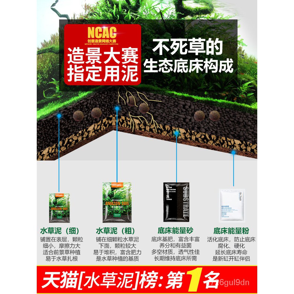 Fish Tank Landscaping疯狂水草鱼缸水草泥水草套餐亚马逊鱼缸底砂沙造景陶粒砂专用免洗 Shopee Malaysia