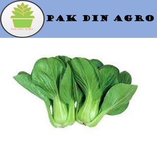 Buy BIJI BENIH SAWI PAK CHOY KERINTING  SeeTracker Malaysia