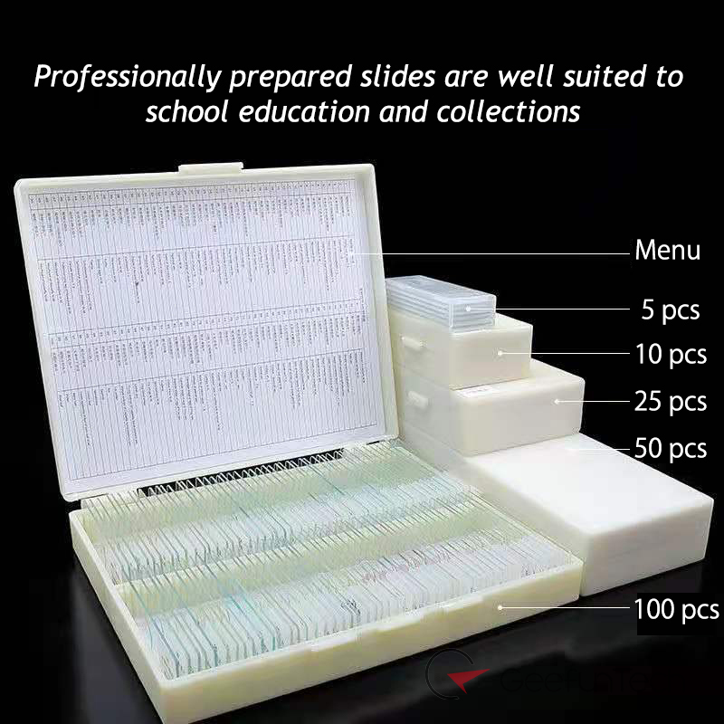 Biology Glass Prepared Microscope Slides Lab Specimens With Box slice slide