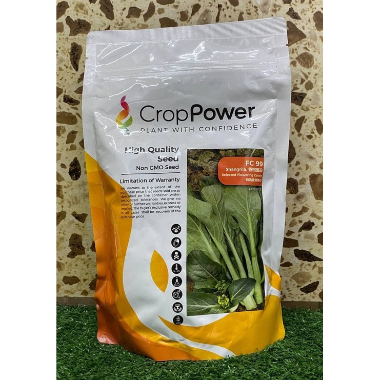 Benih Flowering Caixin FC 99 (SAWI Bunga) CROP POWER (500gm) | Shopee ...