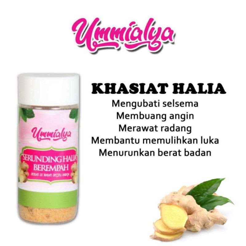 Serunding Halia Berempah Bawang Putih Crispy Penambah Selera Makan By Ummialya Shopee Malaysia