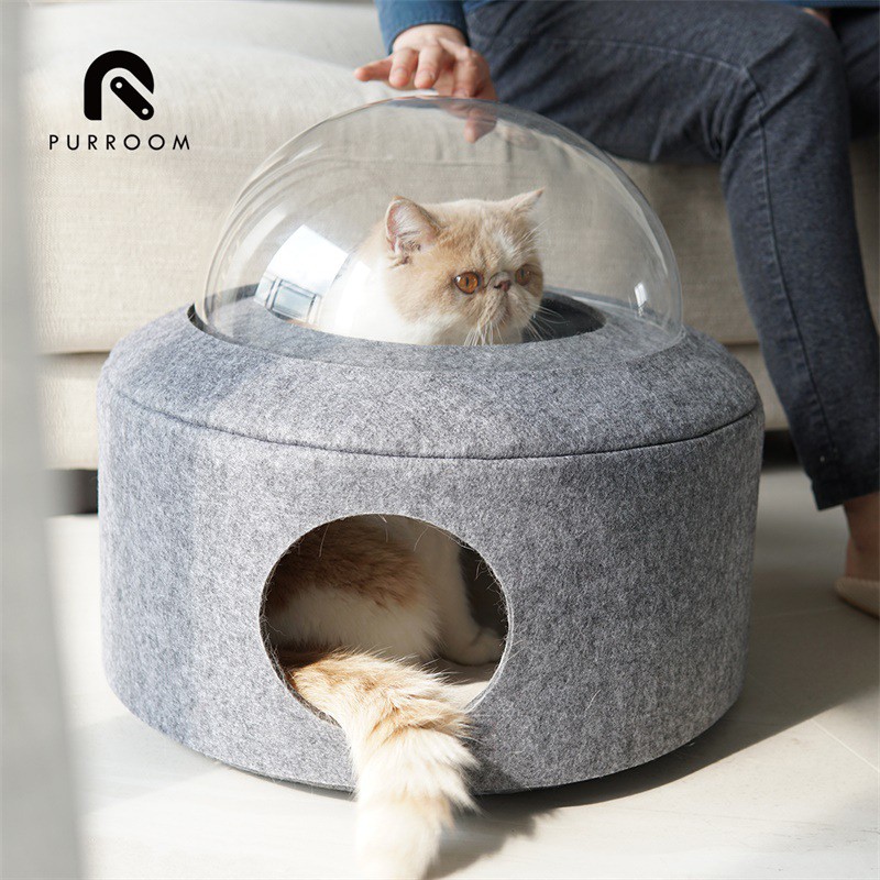space cat bed