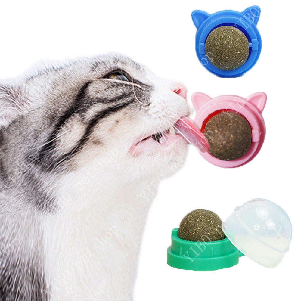 Durable Must Rotating Natural Catnip Ball Molars Cleans Teeth Bites Balls Healthy Promote Digestion Cat Grass Snack Have