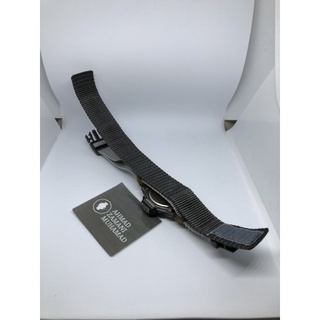 casio protrek ley