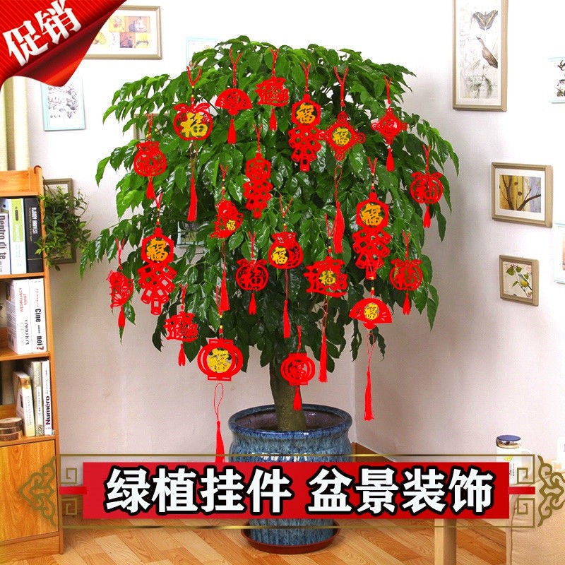 Small red lanterns ornaments on the tree mini bons小红灯笼挂饰树上